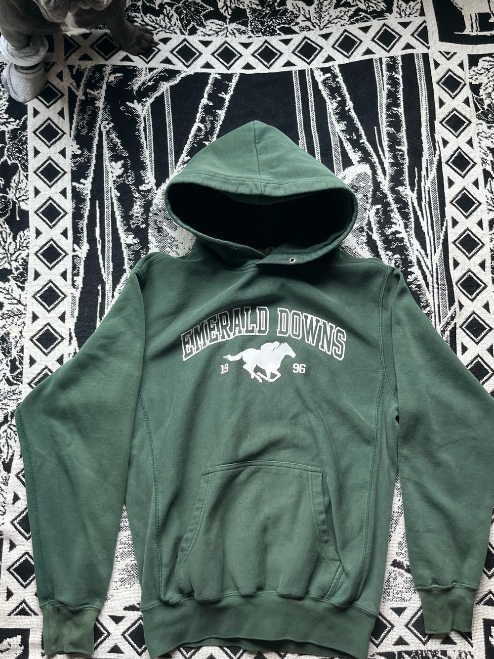 & Other Stories Forest Green 'Emerald Downs' Crewneck Hoodie